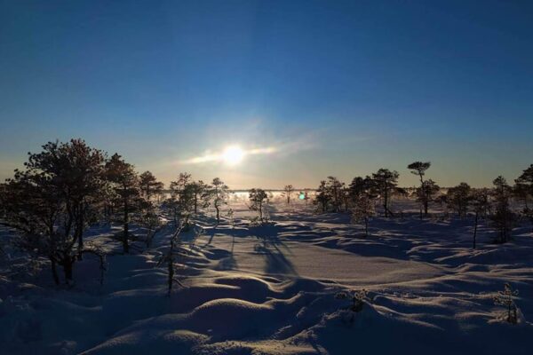 330364695_1615192605664729_4564562925671766854_n