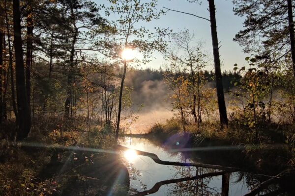 391715245_342578898140343_5184627461814556598_n