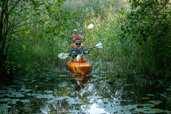 IMG_0550-2 – koopia – koopia